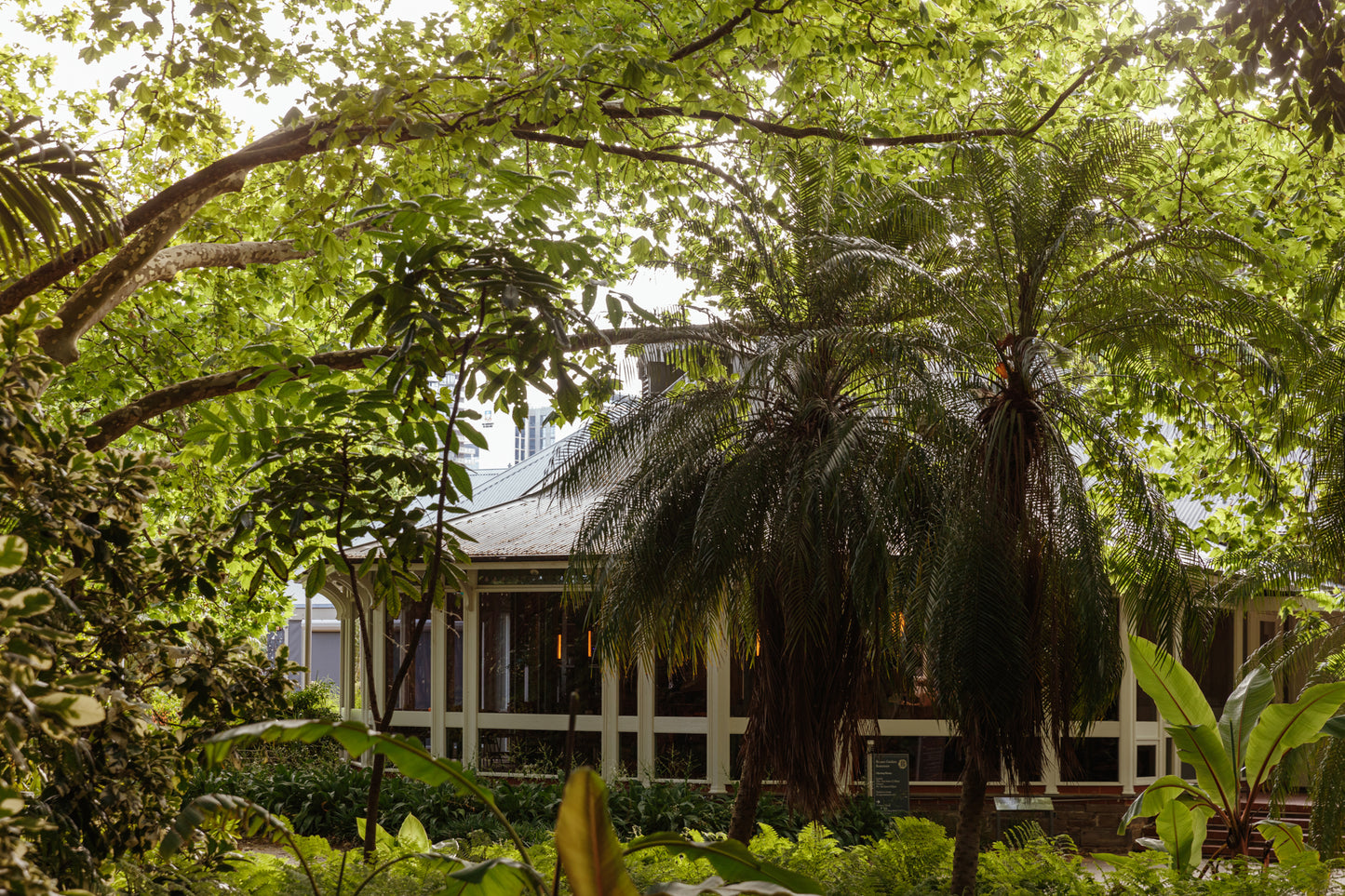 Restaurant Botanic: A Year in the Life Pre-Sale