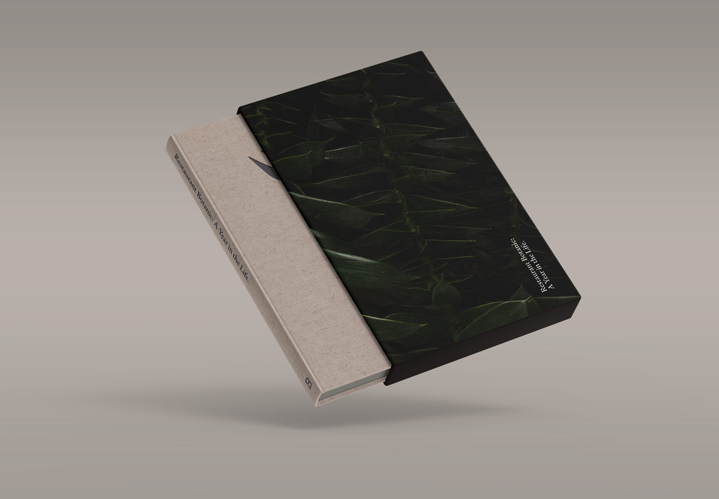 A Year in the Life + Book Sleeve