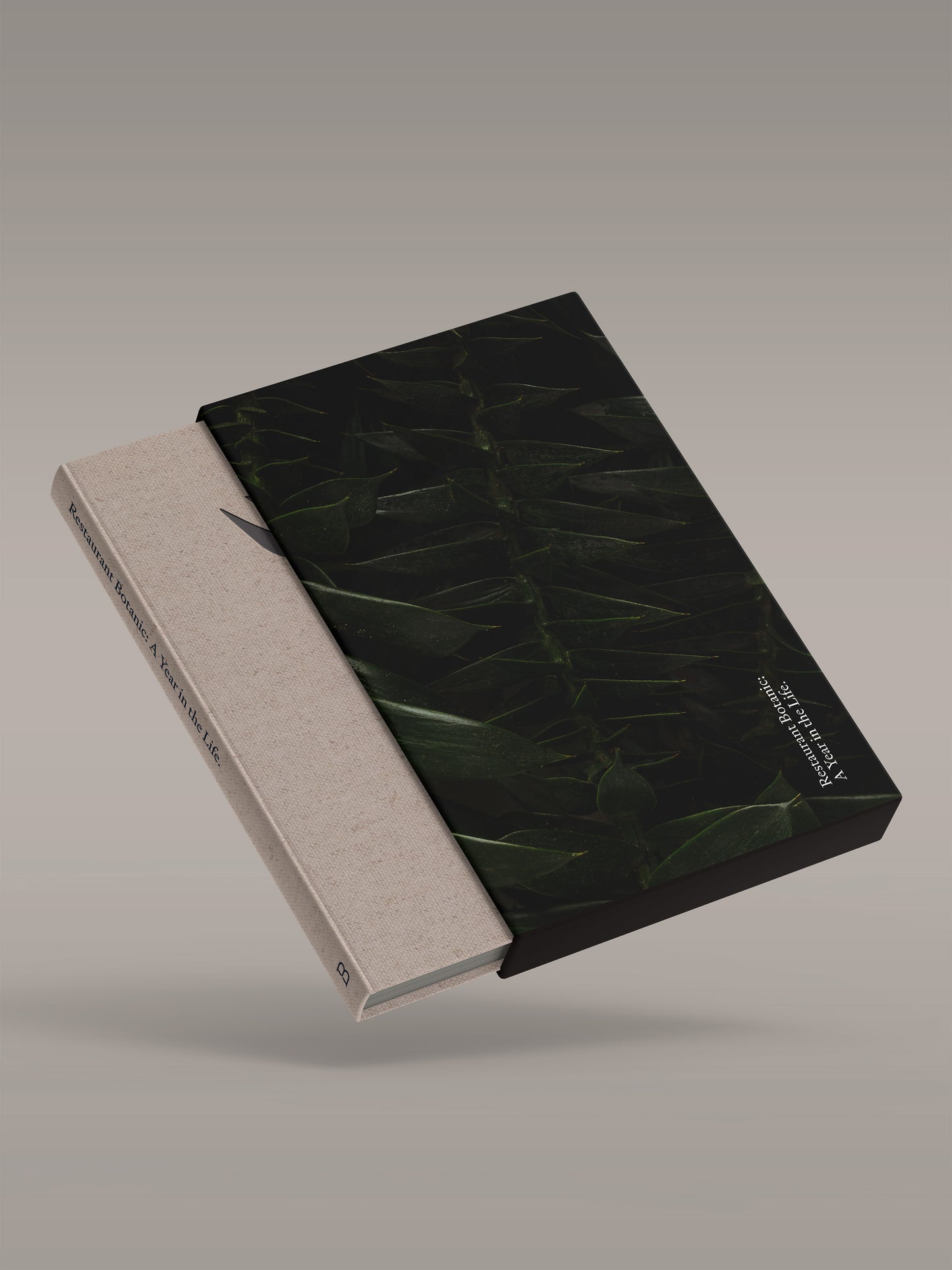 A Year in the Life + Book Sleeve